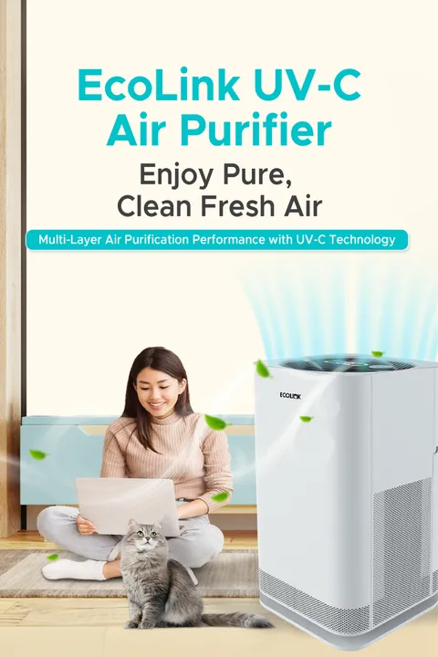 EcoLink Air Purifier_Main Slide EasyStore-01